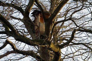 Hochsitz im Langen Grund in der Nähe von Löwensen