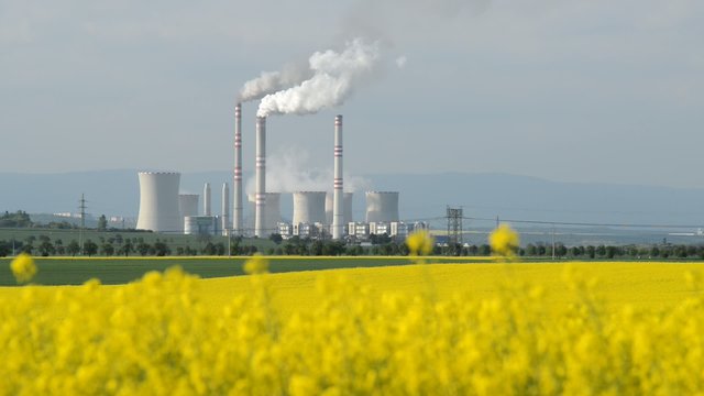 Field Of Rape With A Power Station