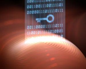 Fingerprint Security Digital