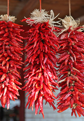 Obraz premium bunches of dried chili