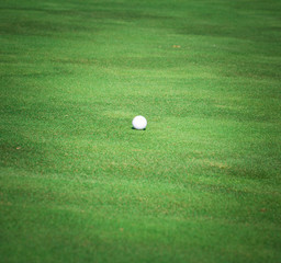 Golf ball on green grass background