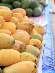 Ripe mango in the market