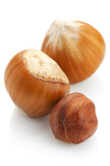 Hazelnuts on white