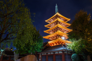 Obraz premium Five-storied pagoda at Sensoji Temple in Tokyo