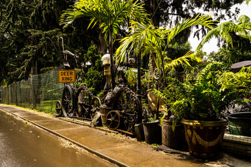 The fence