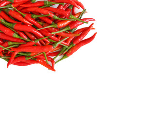 red chili pepper isolated on  white background