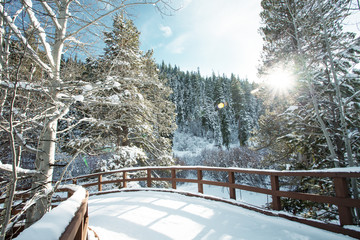winter time