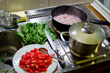 Preparing dinner in the kitchen