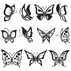 Vector set black and white butterflies - 64606861