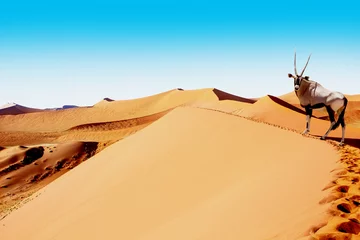 Möbelaufkleber sossusvlei dunes oryx © mezzotint_fotolia