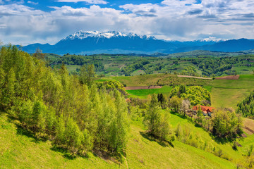 Fantastic spring landscape in Transylvania,Holbav,Romania