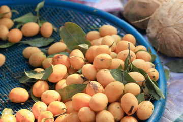 Marian plum fruit - asia fruit