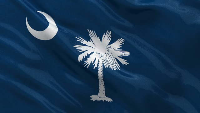 US state flag of South Carolina waving in the wind seamless loop