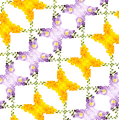 Abstract freesia flower background isolated on white