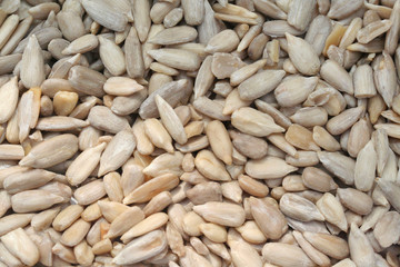 semi di girasole decorticati