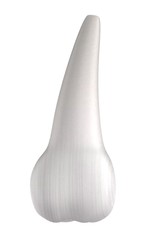 realistic 3d render of human tooth
