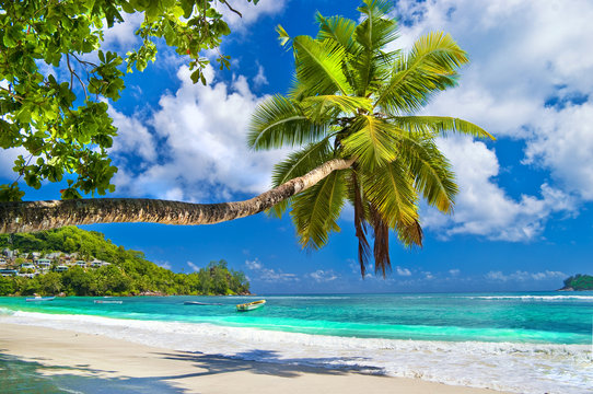 Fototapeta idyllic tropical scenery - Seychelles