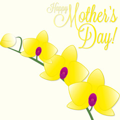 Orchid Mother's Day card in vector format.
