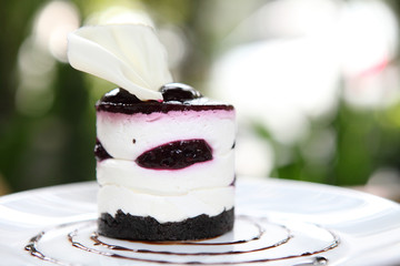 Blueberry cheesecake slice