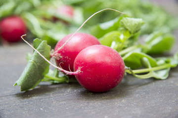 Radieschen