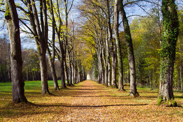 Allee auf Herrenchiemsee