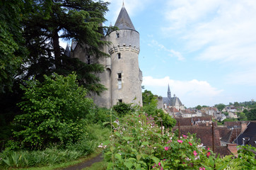 Fototapeta na wymiar Castle of Montresor in the Loire Valley, France