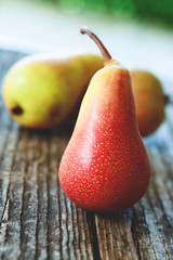 pere bio - pears organic farming