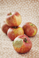 Ripe red apples on a table .