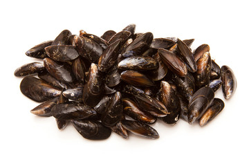  Mussels on a white studio background.