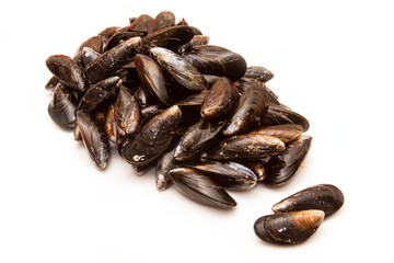  Mussels on a white studio background.