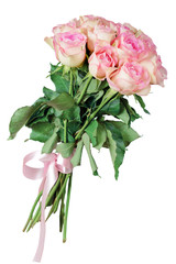 pink roses on white background