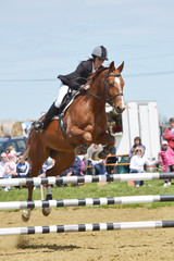 équitation