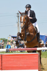 horse jumping