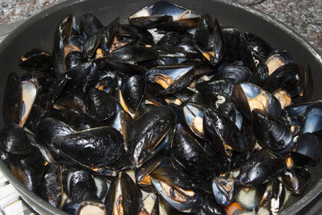 peppered mussels