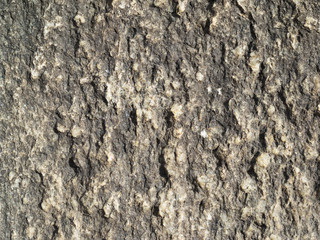 Stone. background