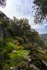 Fototapeta na wymiar Montfrague National Park. Extremadura. Spain
