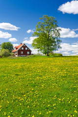 Naklejka na ściany i meble Vertical view of Swedish farm in May
