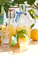 Hausgemachter Limoncello