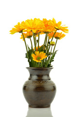 Ż&oacute;łte astry w flakonie na białym tle