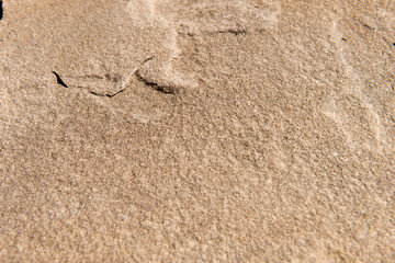 Facing building material