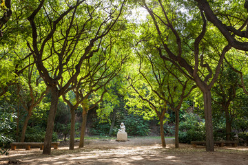Statua tra gli alberi, Barcellona, Spagna
