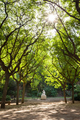 Naklejka premium Barcellona, Spagna