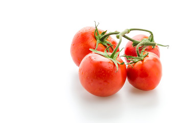 Tomato isolated on white