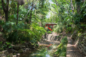 Obraz premium Dolina Todoroki i most golfowy