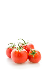 Tomato isolated on white