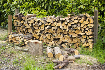 firewood in the garden