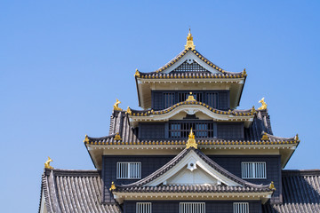 Fototapeta premium Okayama Castle