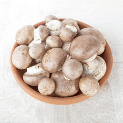 Fresh mushrooms in clay  bowl over the sacking
