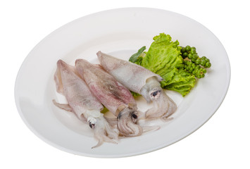 Raw calamari