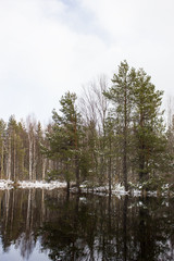 Obraz premium Весенний пейзаж. Река Мининка. Россия